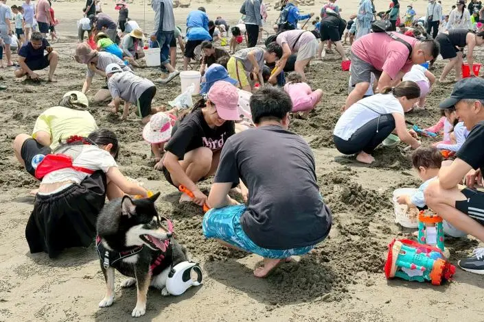 圖片來源：苗栗縣政府