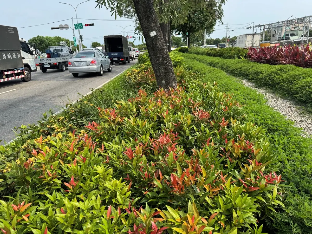 圖片來源：臺中市政府