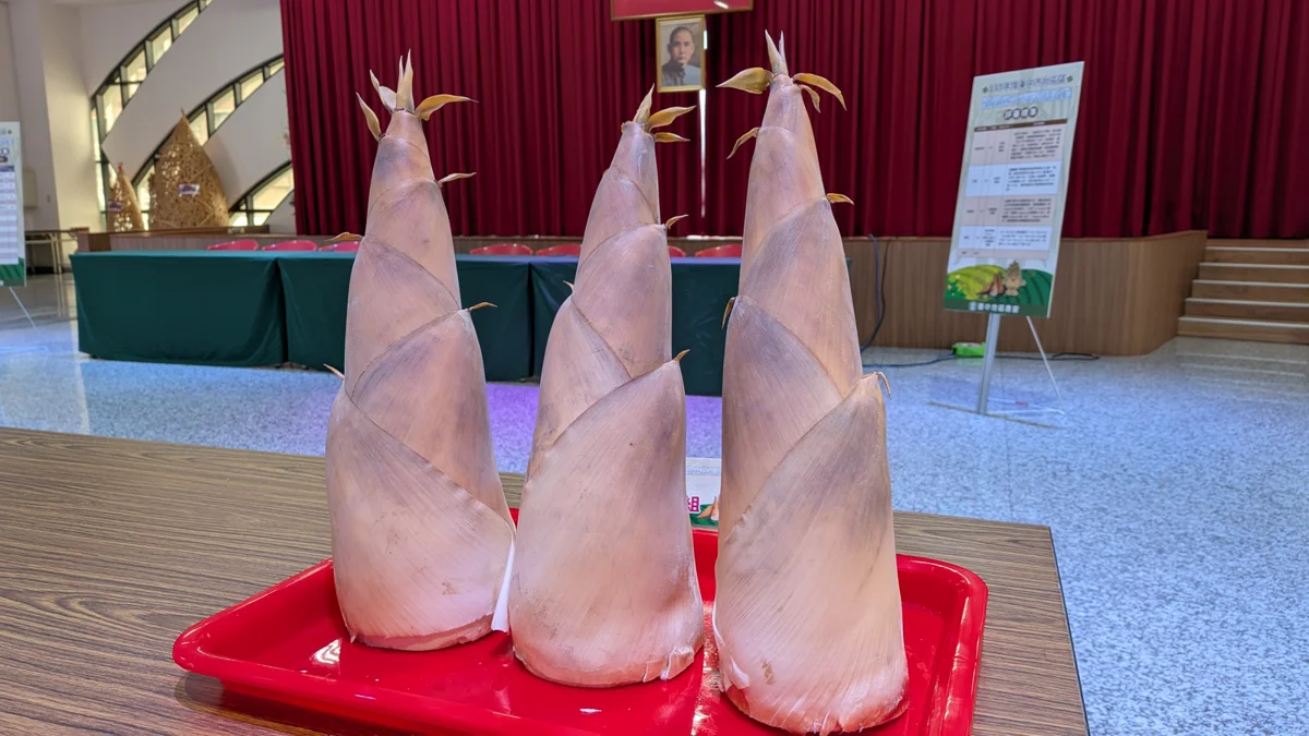 圖片來源:臺中市政府