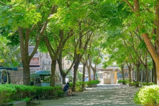 圖片來源：臺北市政府