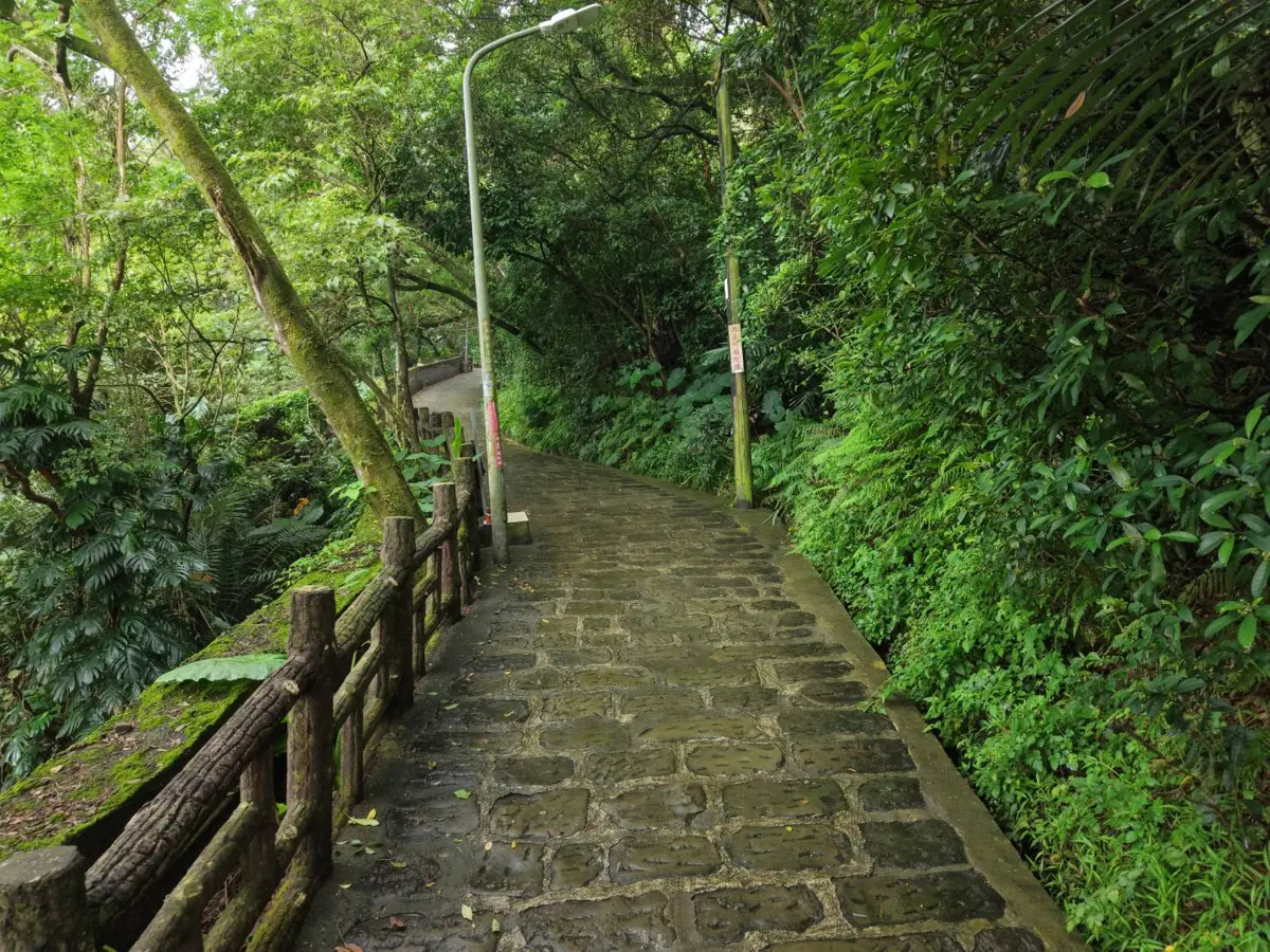 圖片來源:新北市政府