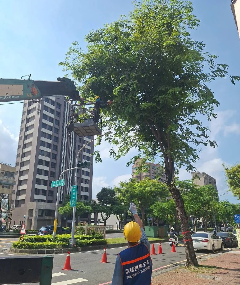 圖片來源:高雄市政府