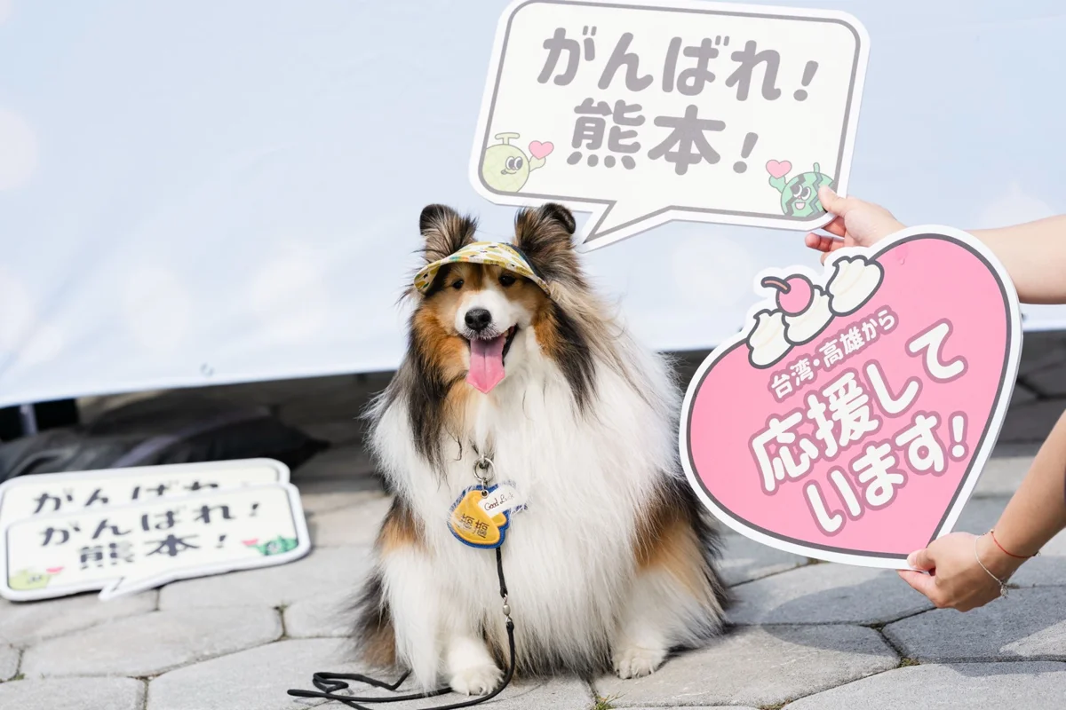 圖片來源:高雄市政府
