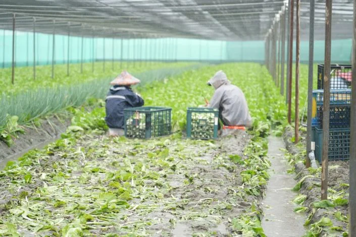 圖片來源：雲林縣政府