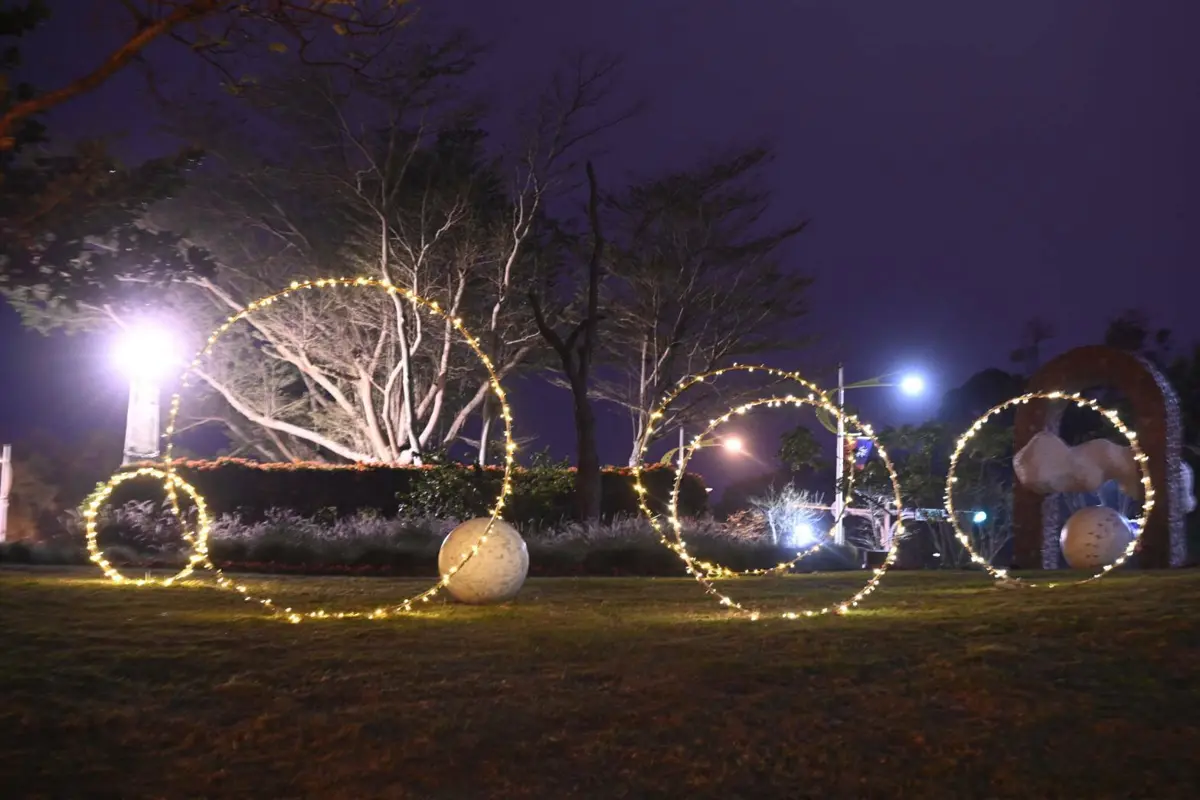 花蓮走春新秘境!大陳公園變身「光耀森林」,夢幻燈海點亮夜空迎新年