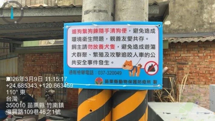 苗栗遊蕩犬破7千隻!永和山水庫淪重災區 動防所祭重罰防棄養