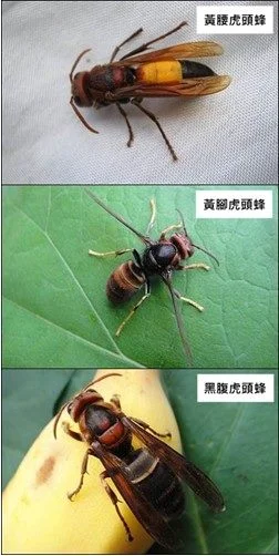 圖片來源:臺北市政府