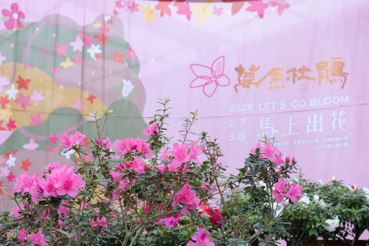 圖片來源:新北市政府