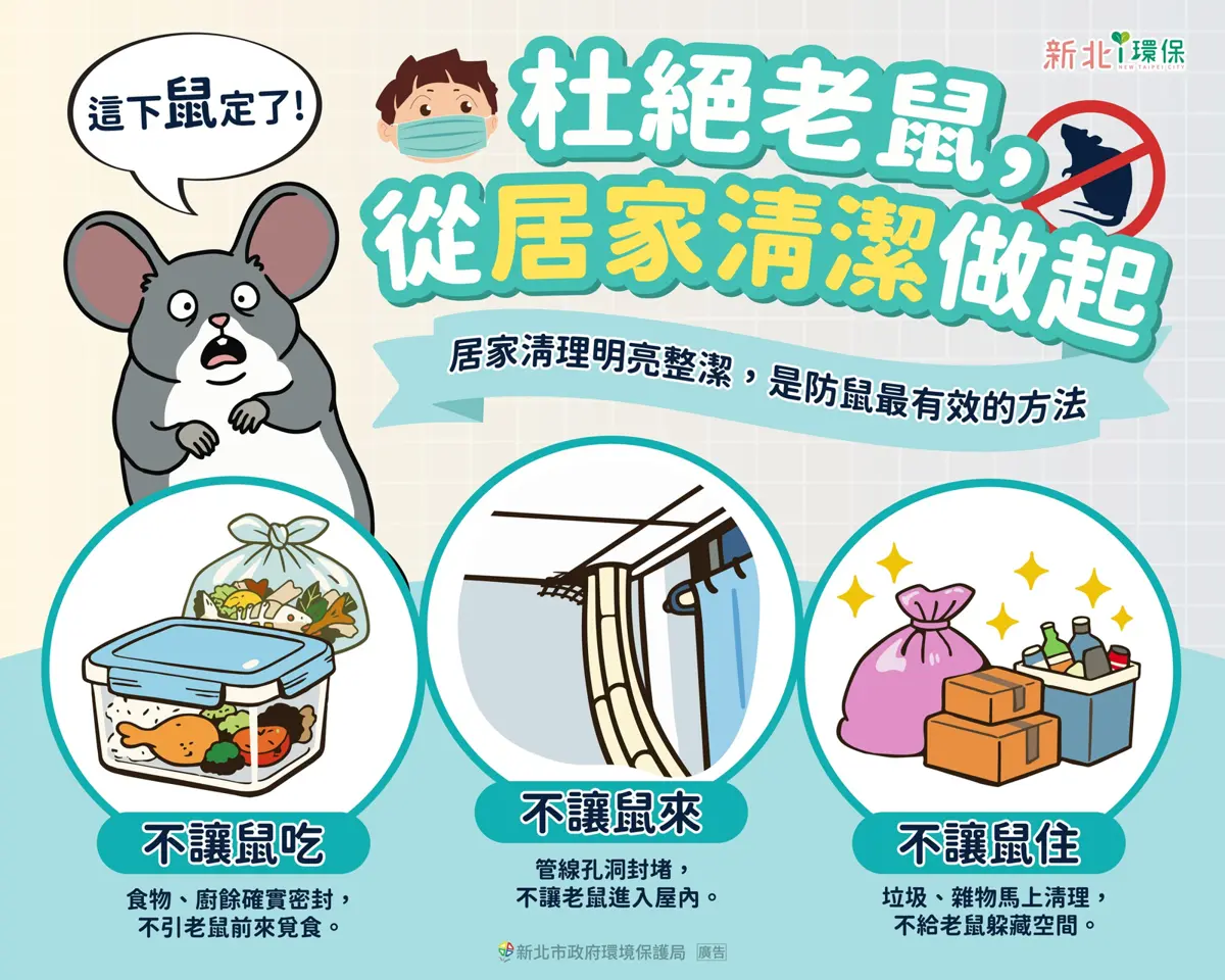 新北過年大掃除「鼠」不完?環保局授「防鼠3原則」懶人包,斷糧、斷路、斷居一篇搞定!