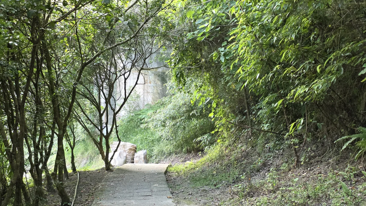 走進百年茶路!石碇淡蘭古道「新北山林展演」11/8登場,速寫美景伴震撼太鼓聲