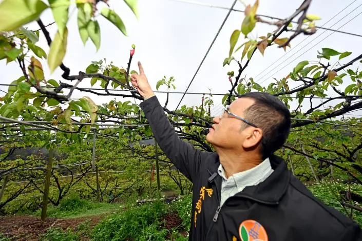圖片來源:苗栗縣政府
