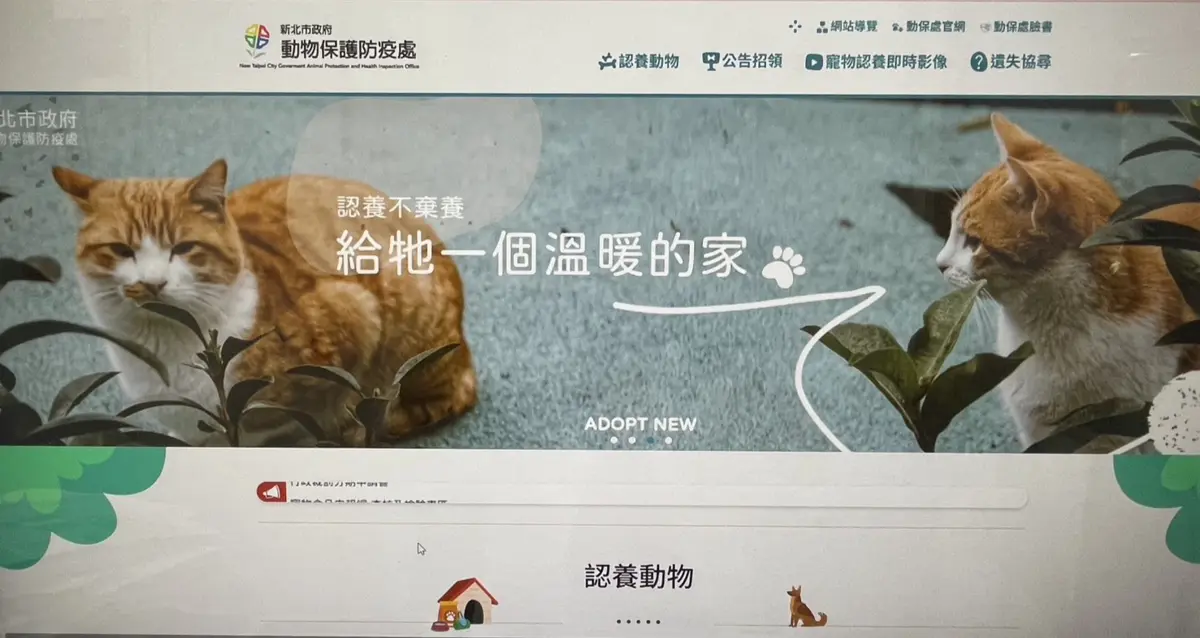 新北生命教育玩真的!竹圍國小上演「人狗情境劇」,教孩子遇到陌生狗別怕