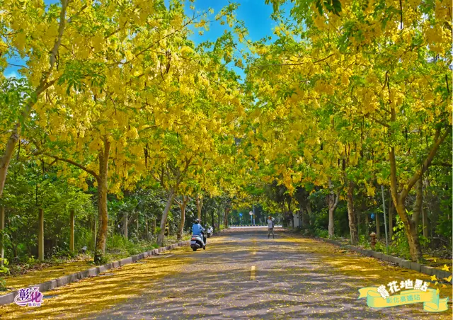 圖片來源：彰化觀光旅遊網-活動