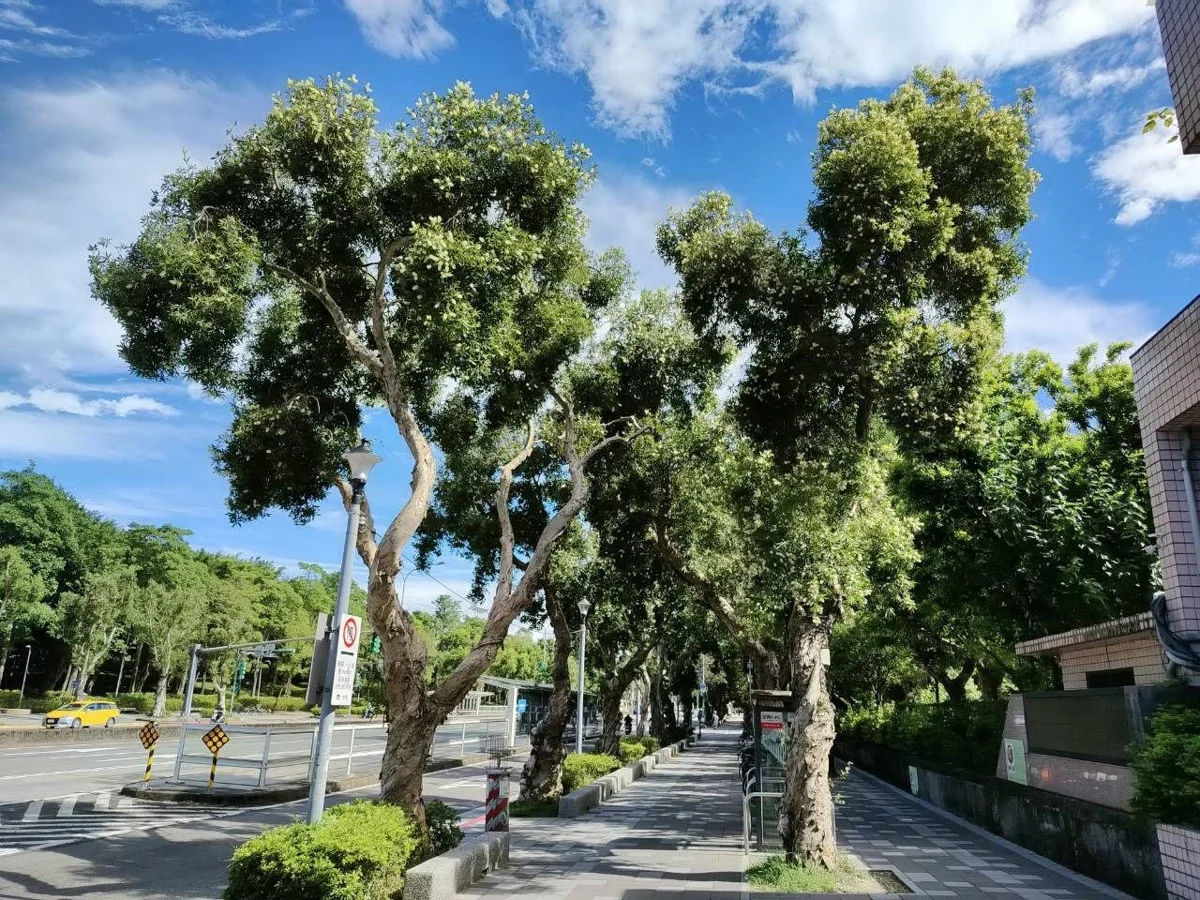圖片來源:臺北市政府