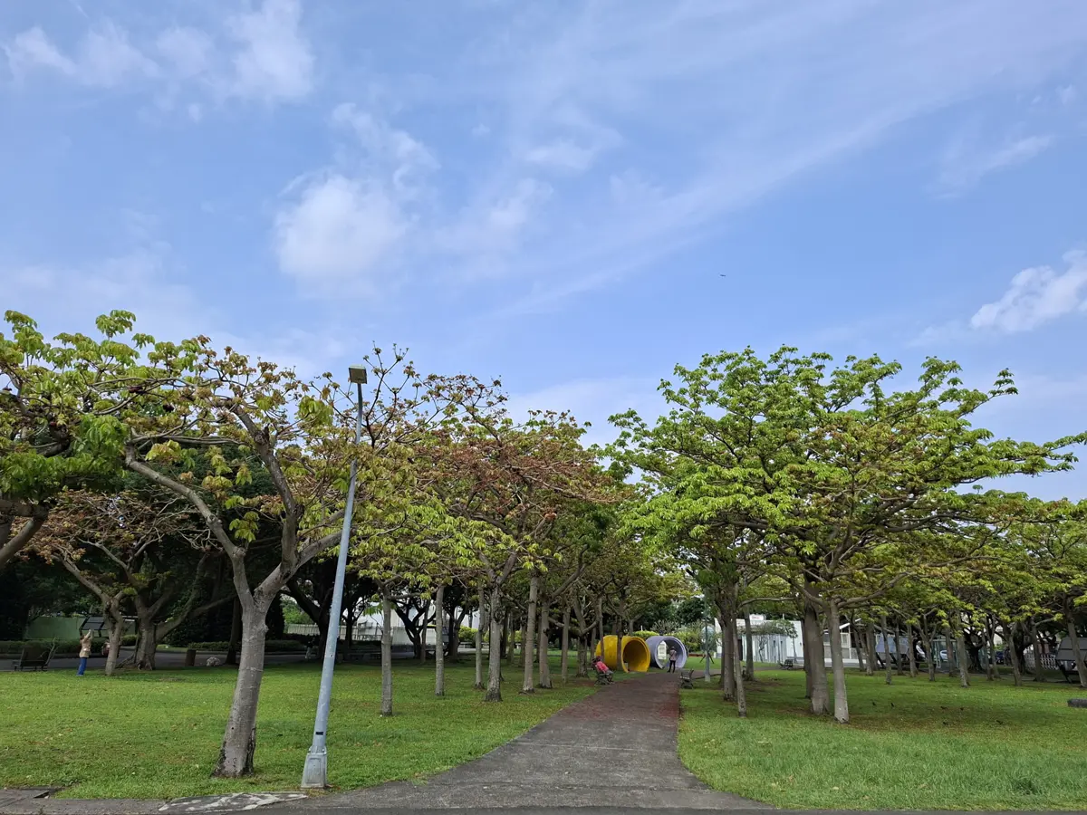 新生公園飄「豬屎味」?兇手竟是25米高綠巨人,奇特花季僅限兩週