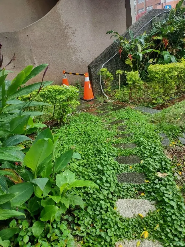 圖片來源:新北市政府