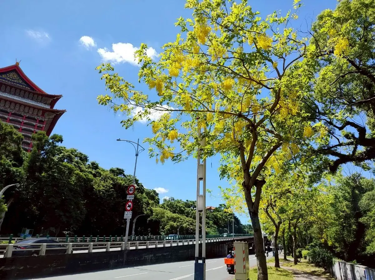 圖片來源:臺北市政府