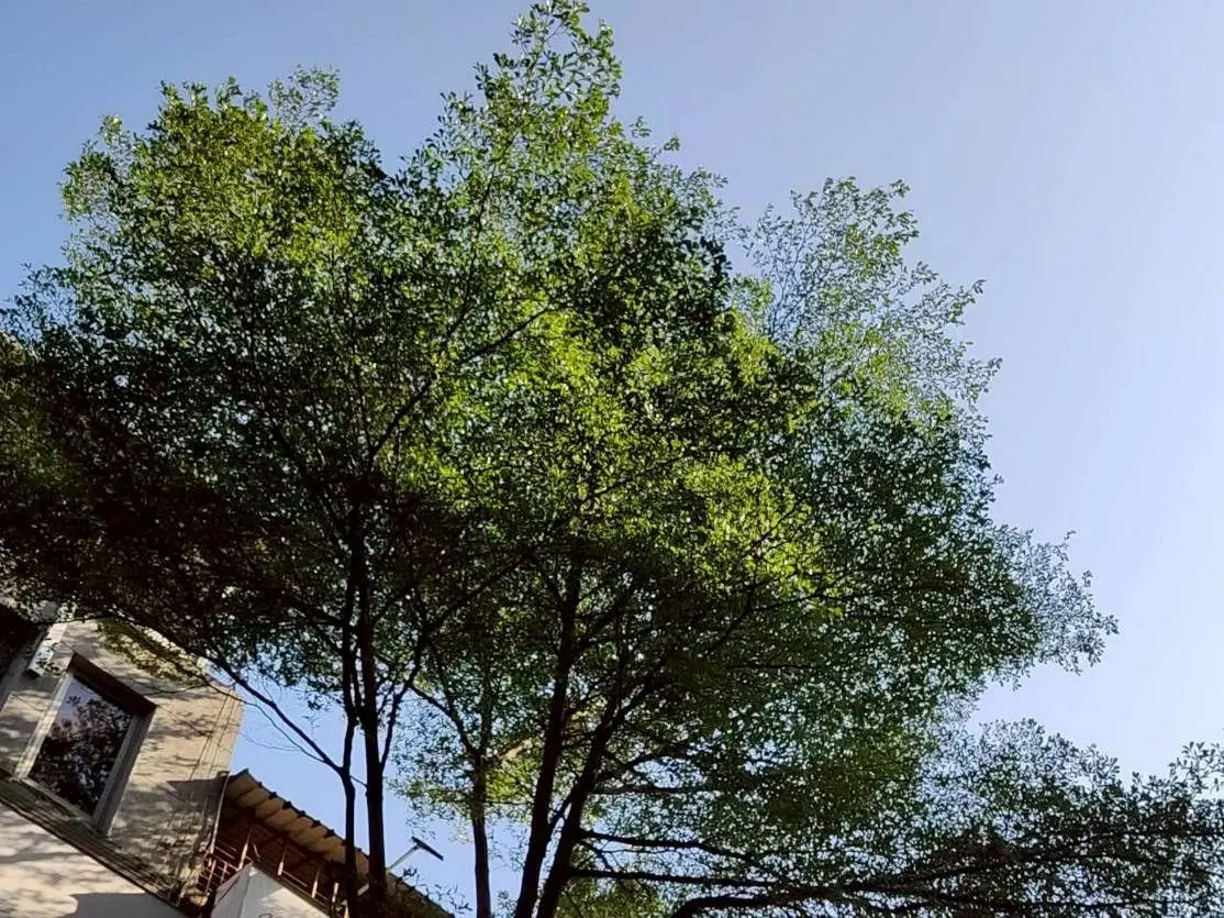 圖片來源:臺北市政府