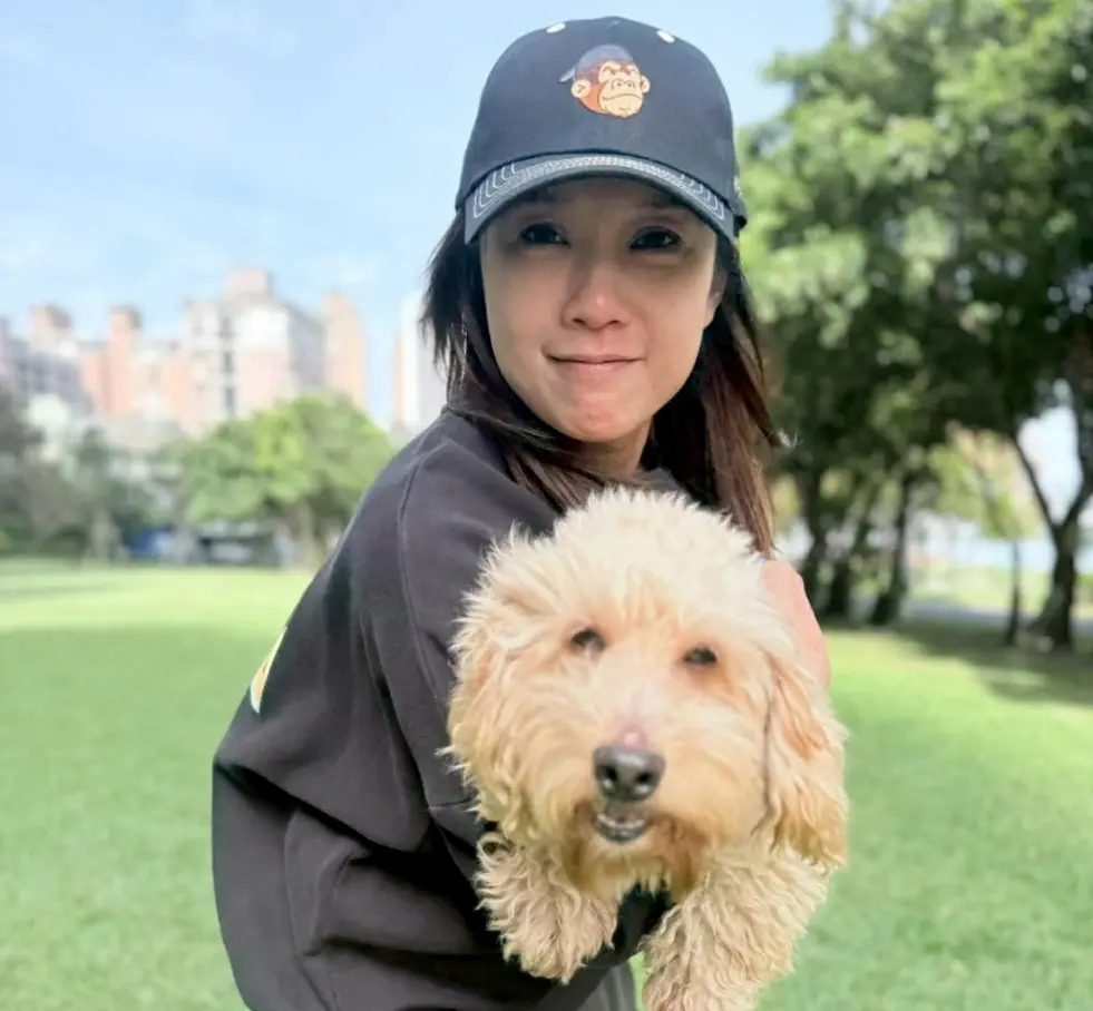 圖片來源:新北市政府