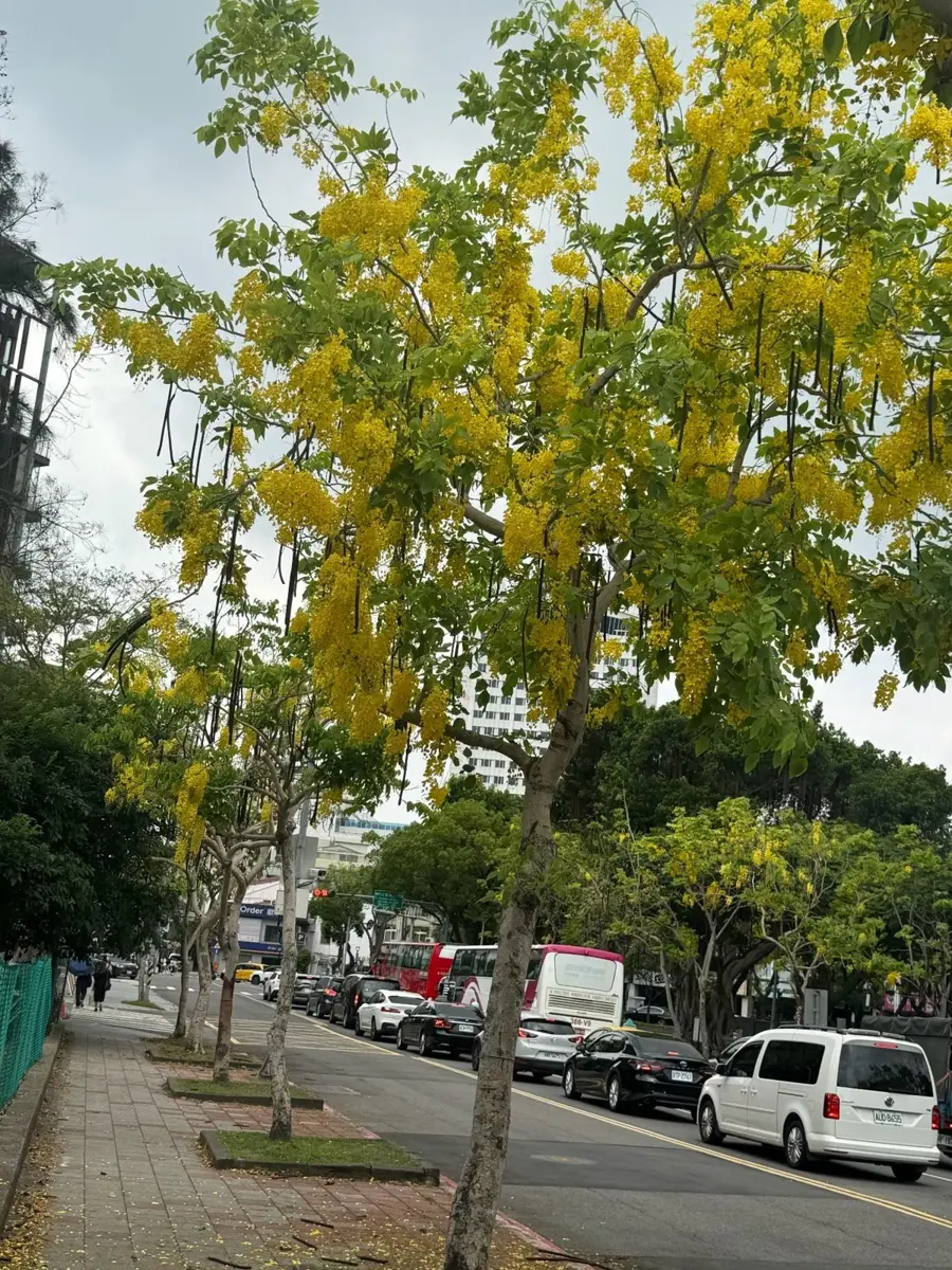 圖片來源:臺北市政府