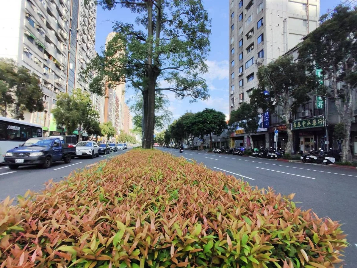 圖片來源:臺北市政府