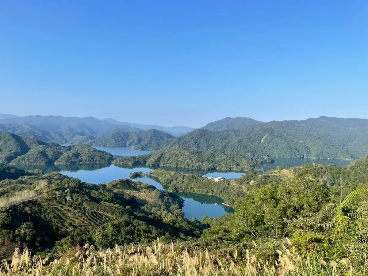 圖片來源:新北市政府