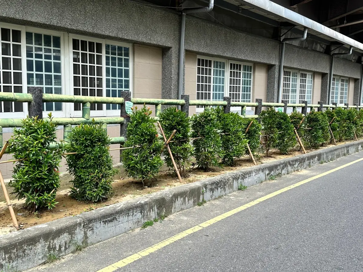 圖片來源:新竹市政府