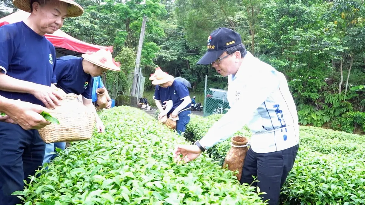 圖片來源:新北市政府