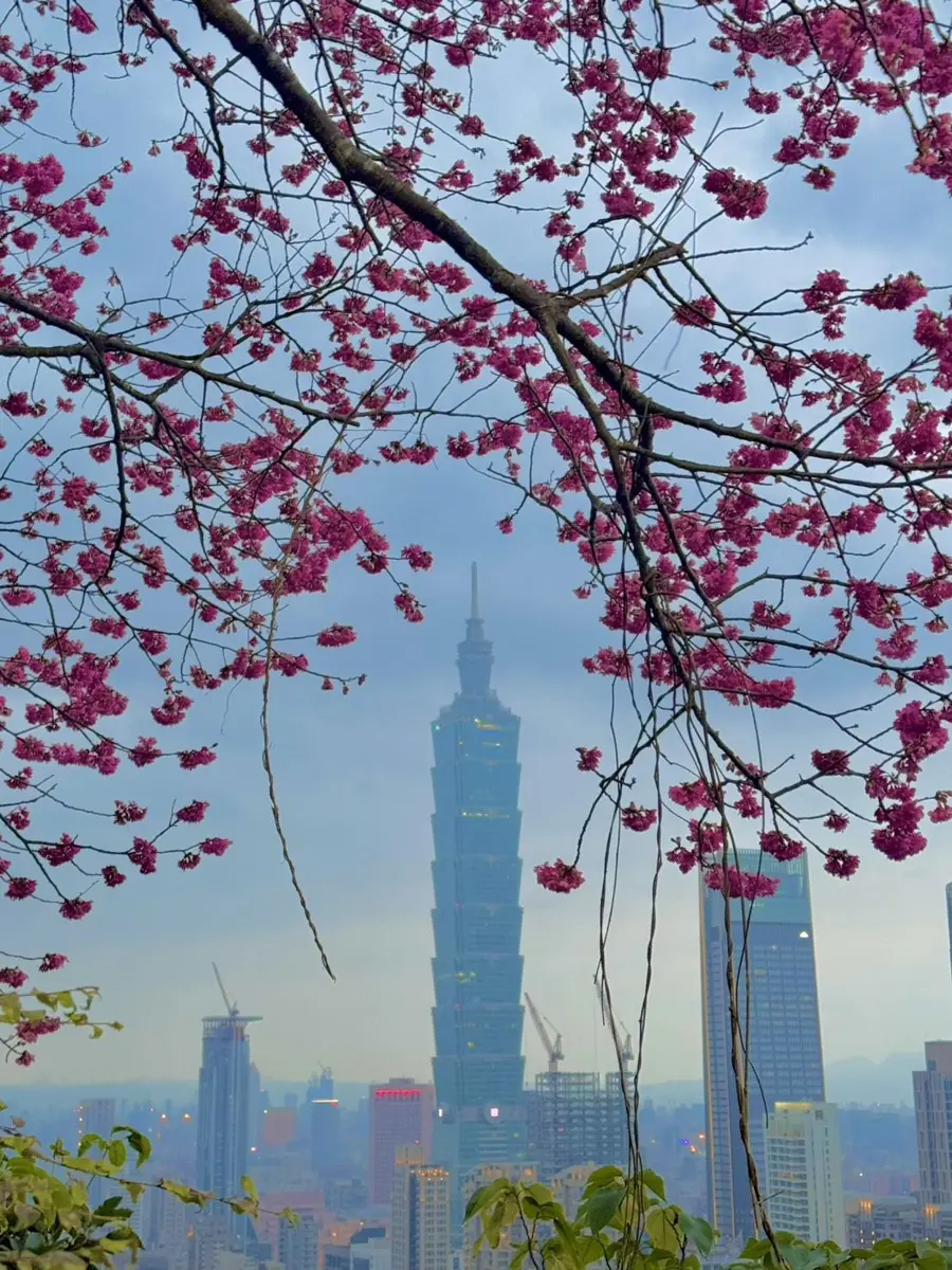 圖片來源:臺北市政府