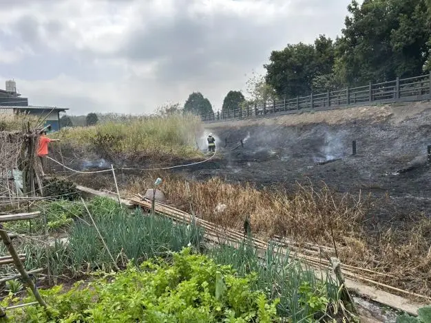 頭屋文德宮前百米雜草陷火海!濃煙竄天 消防急奔馳灌救成功