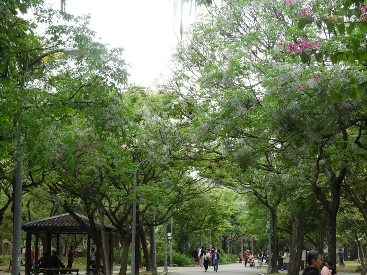圖片來源:臺北市政府