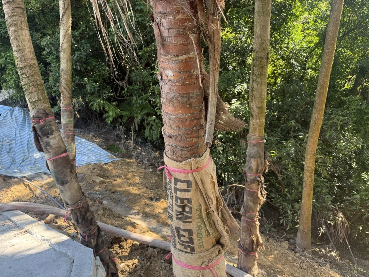 圖片來源:臺北市政府