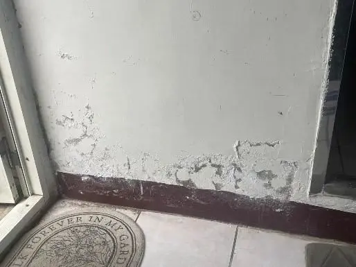 圖片來源:新竹縣政府