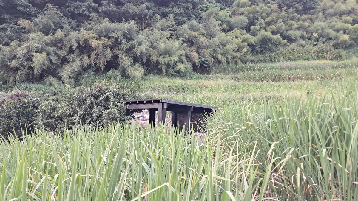 圖片來源：臺北市政府