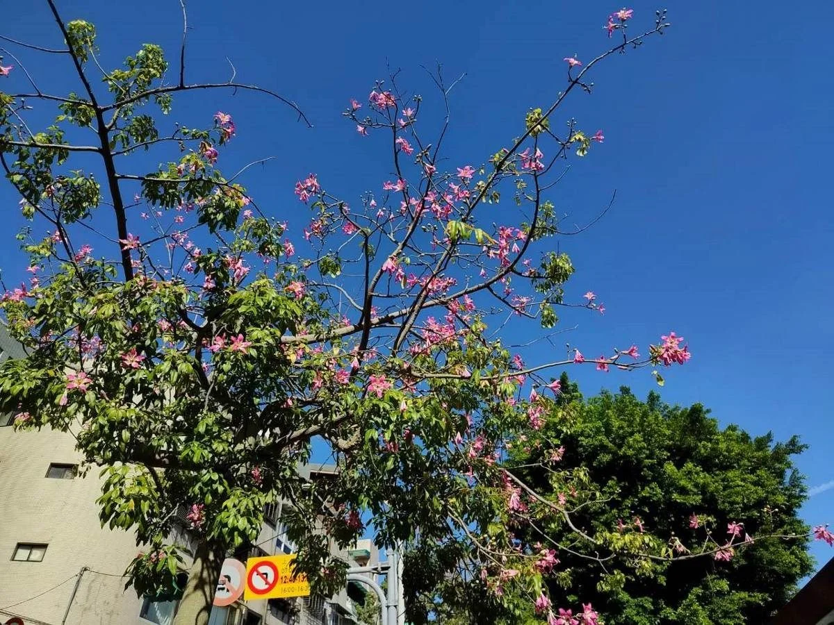 圖片來源:臺北市政府