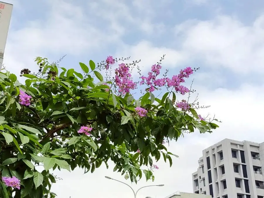 圖片來源:臺北市政府