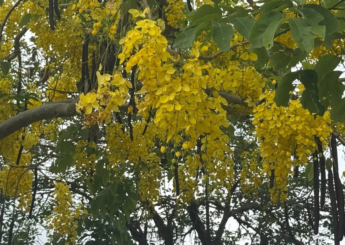 圖片來源:臺北市政府