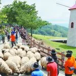 圖片來源:南投旅遊網-活動