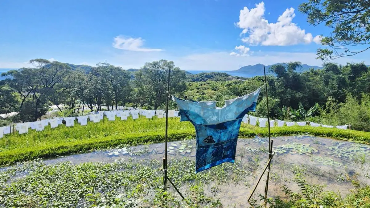 圖片來源:新北市政府