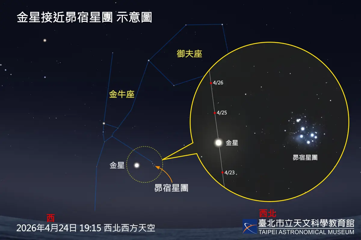 「星」光一線!金星本週五最接近七姊妹星團,錯過再等3年
