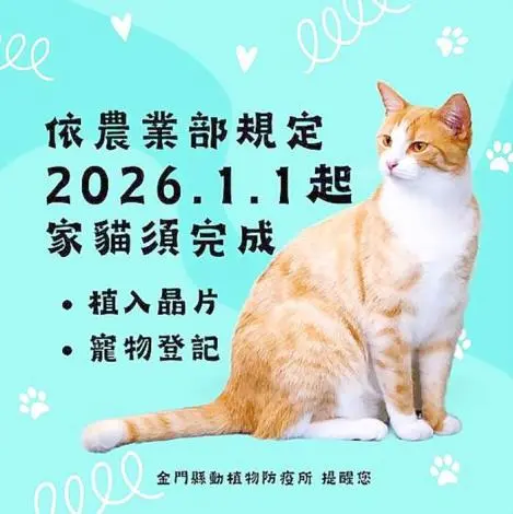 金門貓奴注意!2026新法開罰,未幫愛貓植晶片最高罰1.5萬
