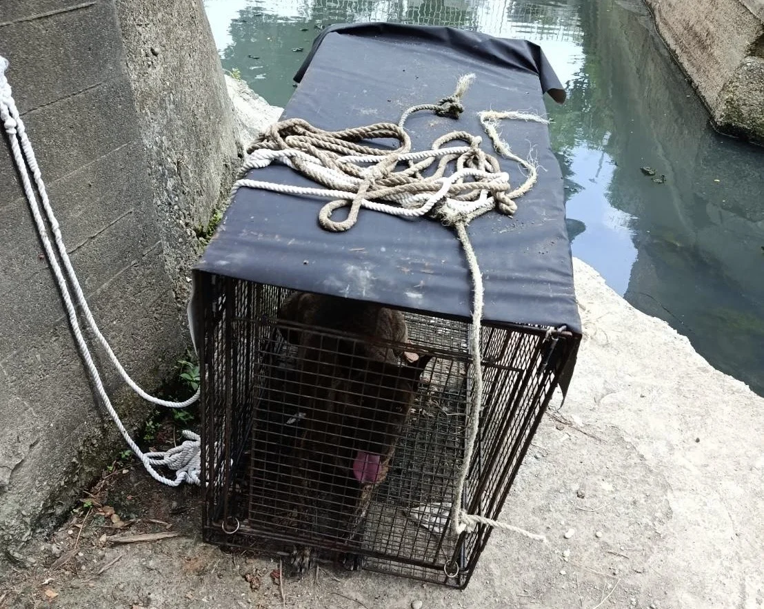 圖片來源：臺南市政府