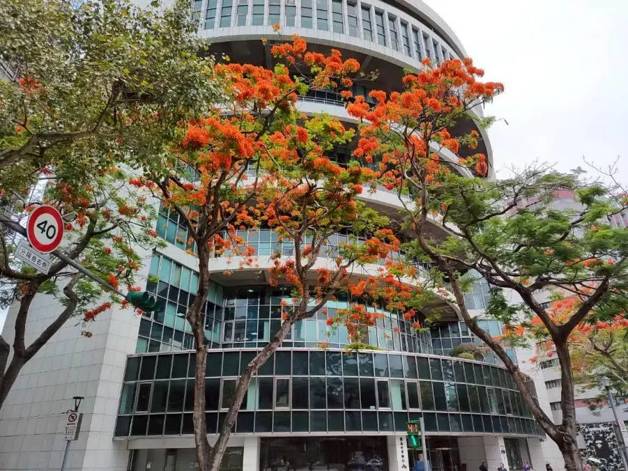 圖片來源:臺北市政府