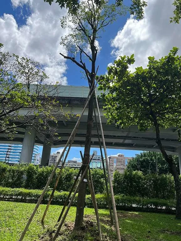 圖片來源:臺北市政府