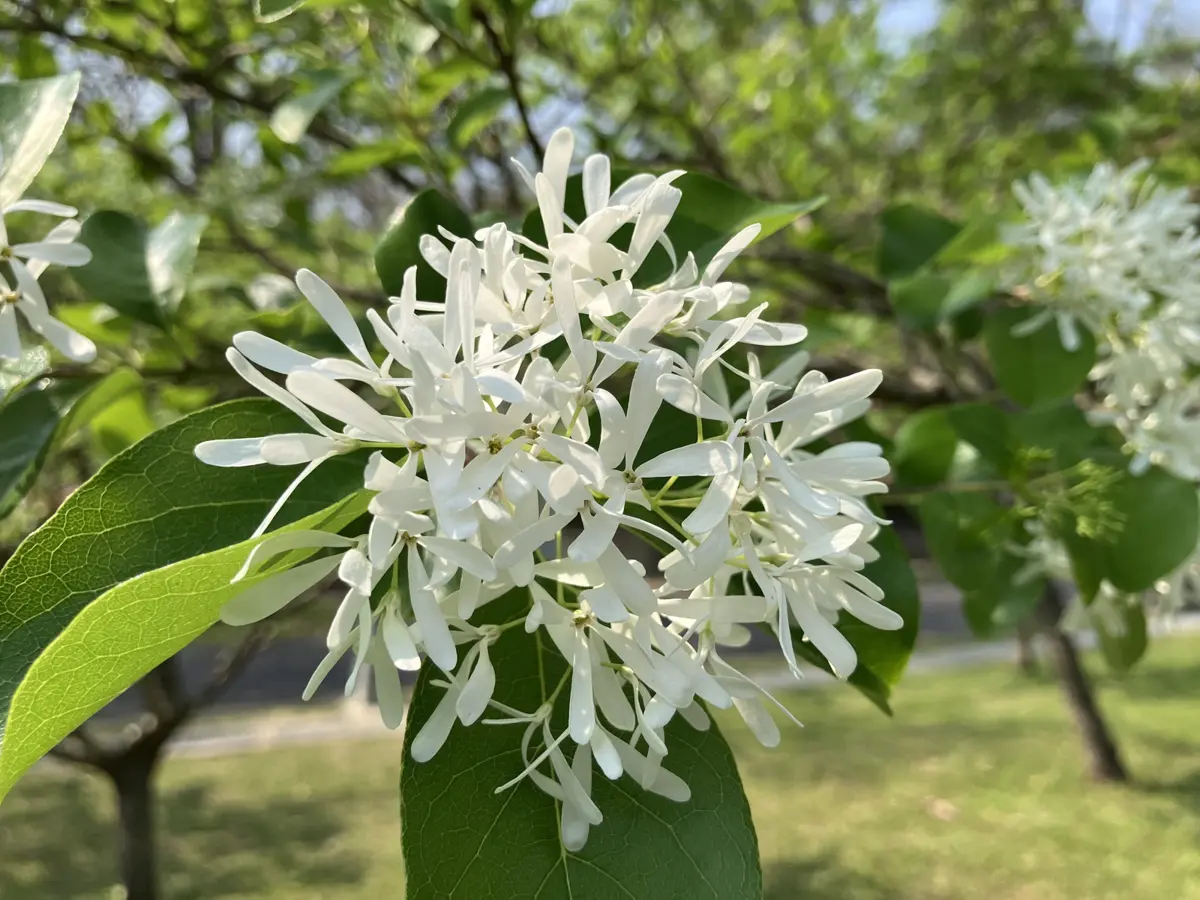 圖片來源:臺北市政府