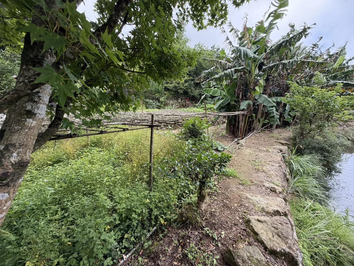 陽明山竹子湖污水有解!北市推山區聚落式處理設施 接管費用全免