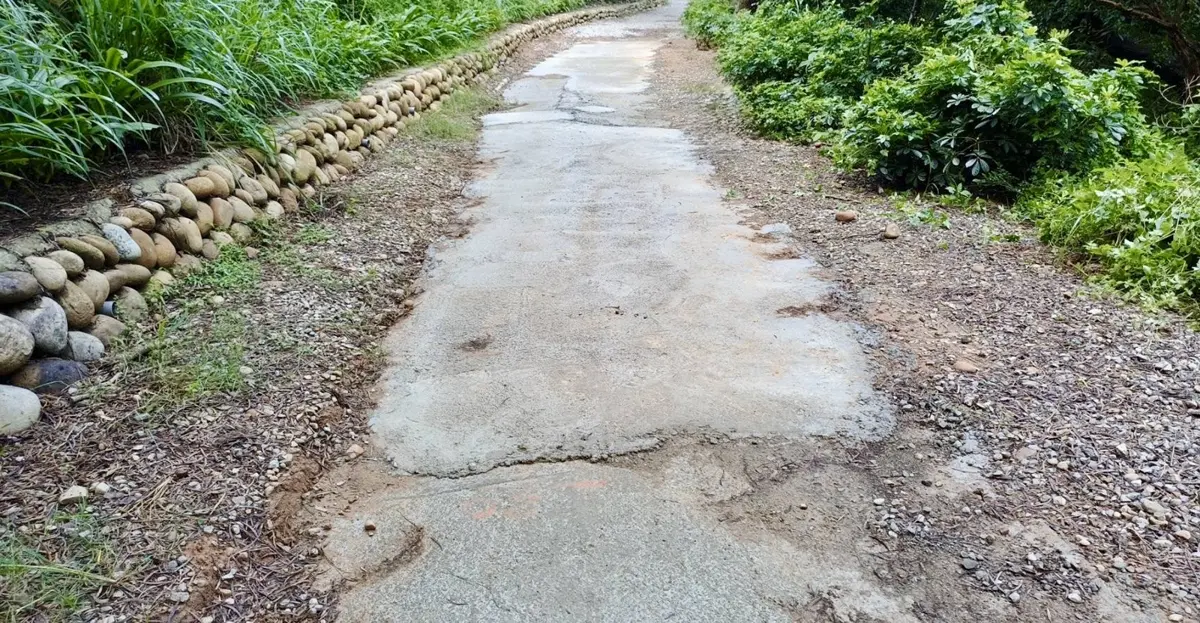 圖片來源：臺中市政府