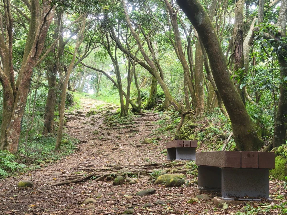 圖片來源:新竹縣政府
