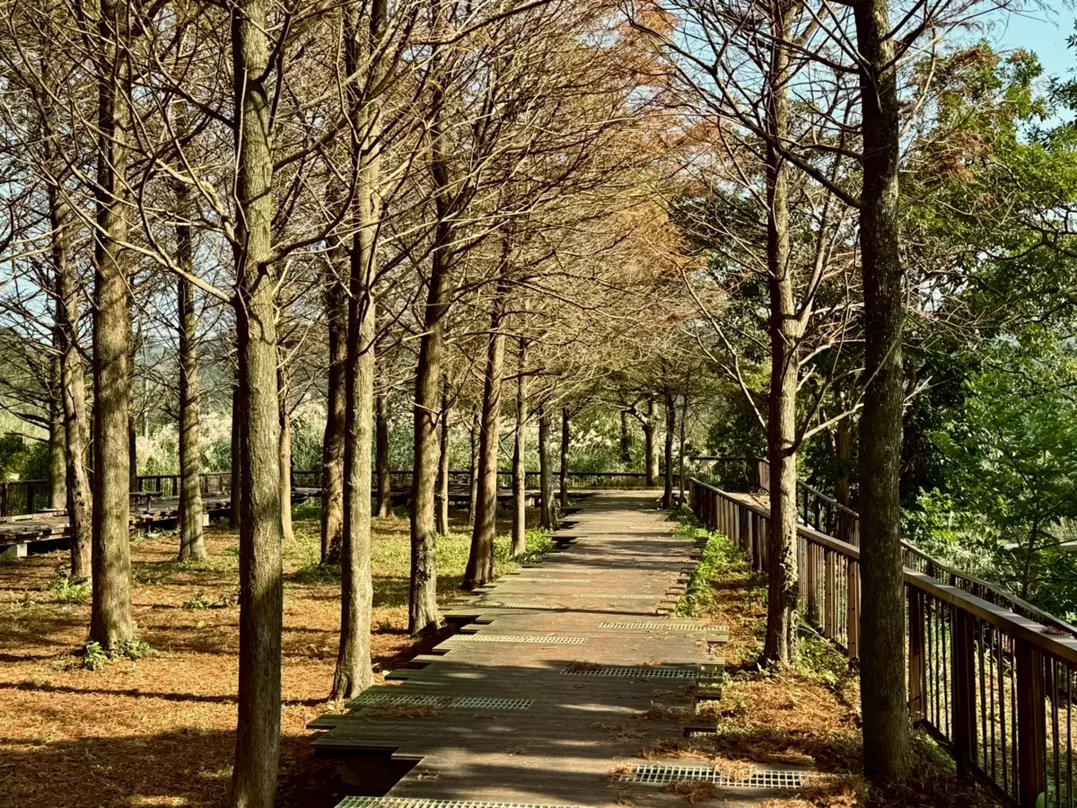 圖片來源:新北市政府