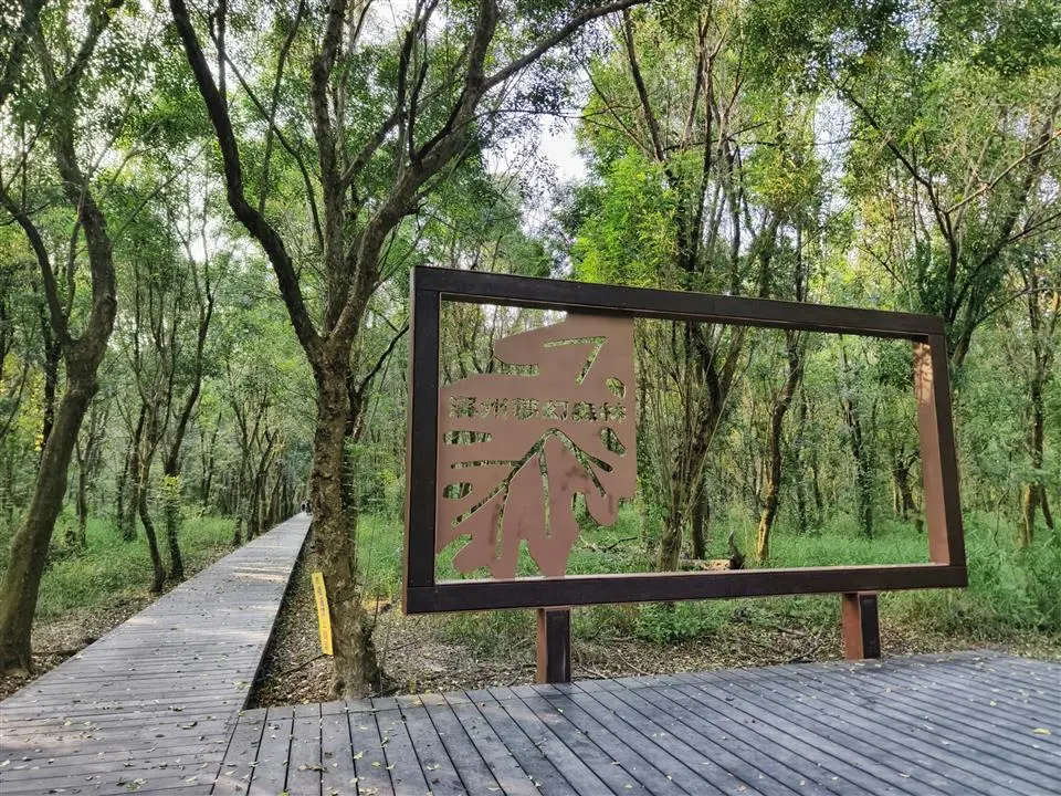 圖片來源:彰化縣政府